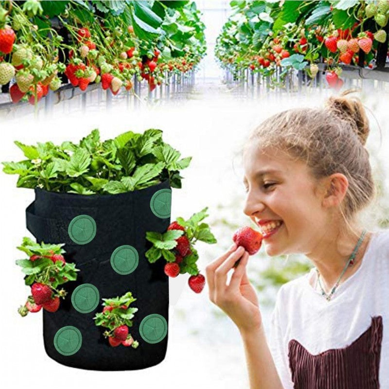 Strawberry Grow Bag Nonwoven Fabric Vertical Jardin Garden