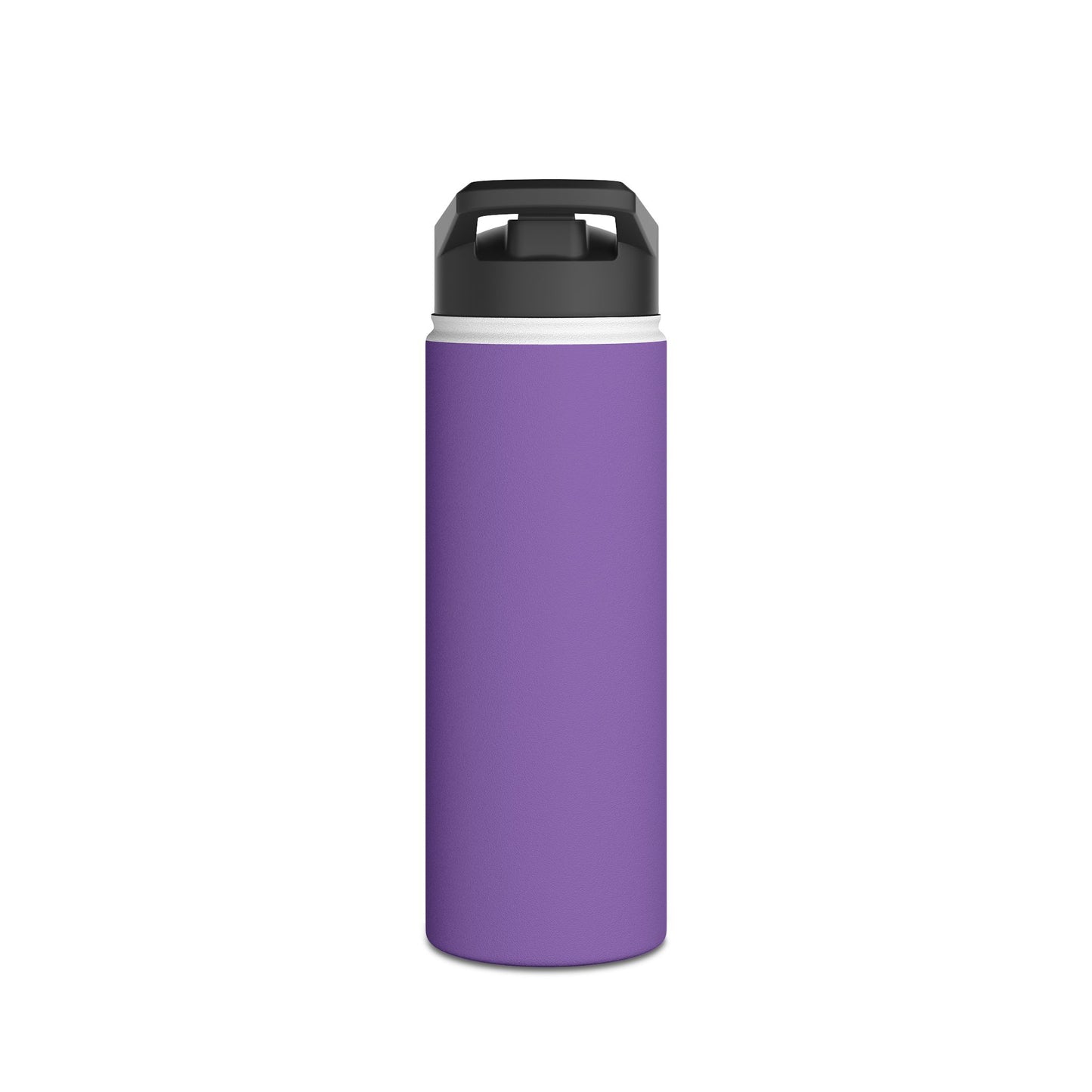 Heaven: Dont Miss it for the World Stainless Steel Water Bottle, Standard Lid